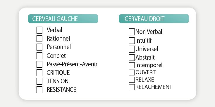 cerveau gauche droit