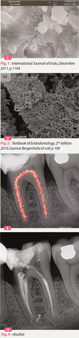 international-journal-of-endo