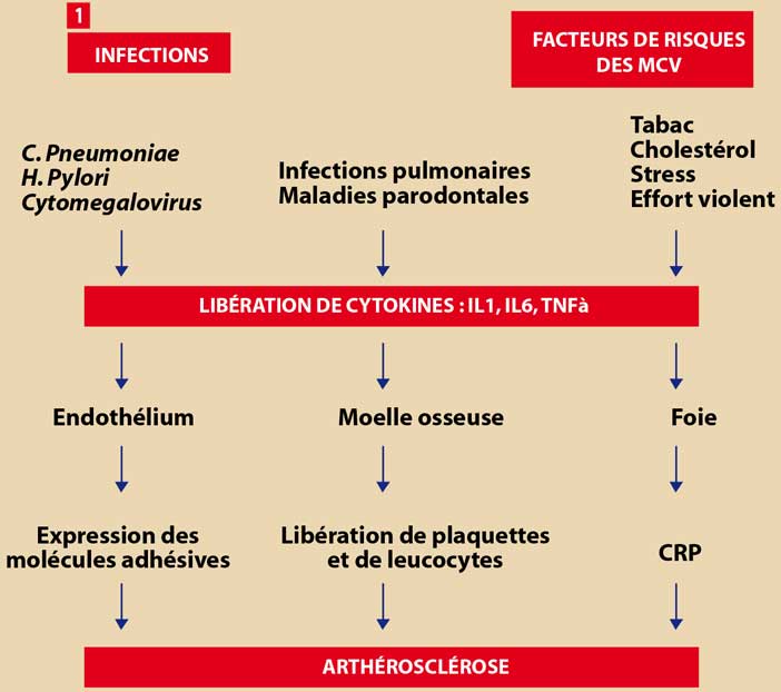 Prématurité-et-hypotrophie