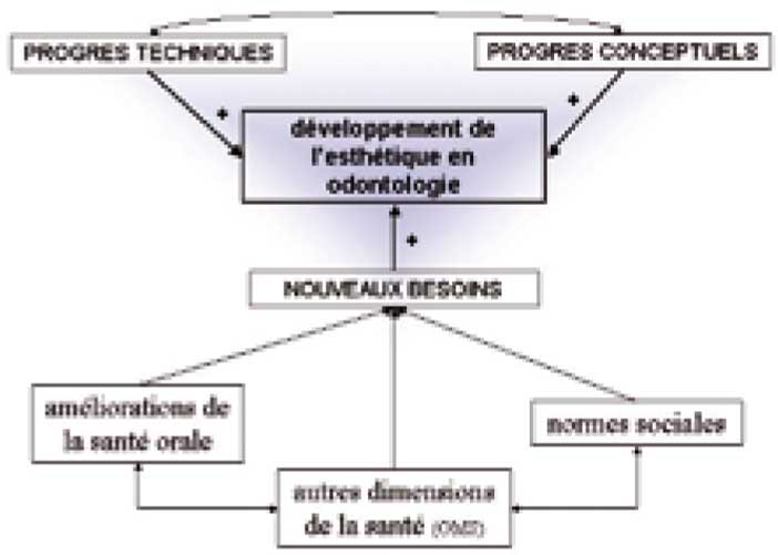 développement-de-l’esthétique