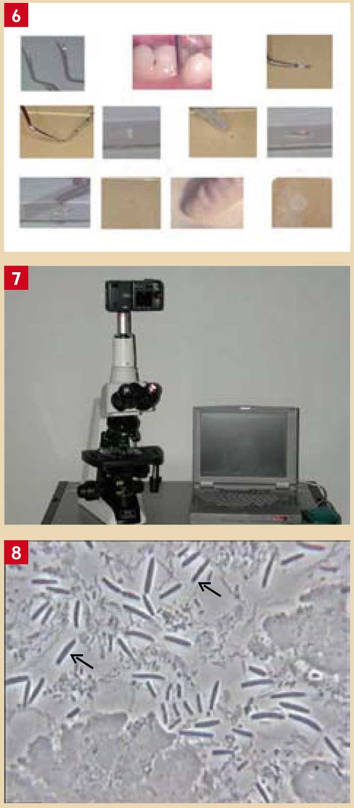 Le-microscope-à-contraste-de-phase