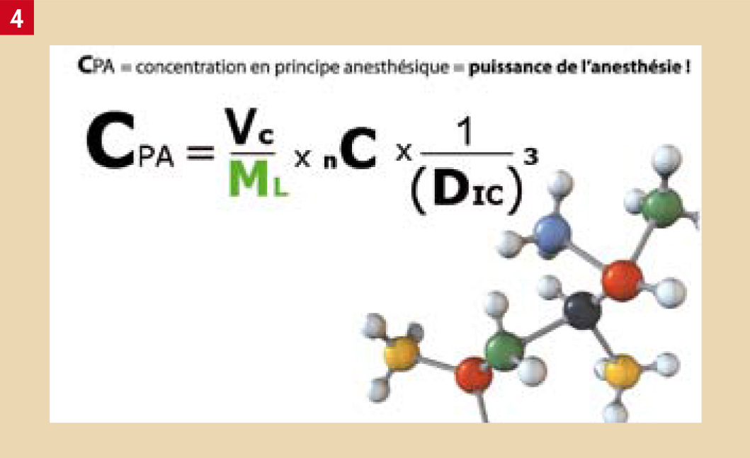 Le-succès-ou-l’échec