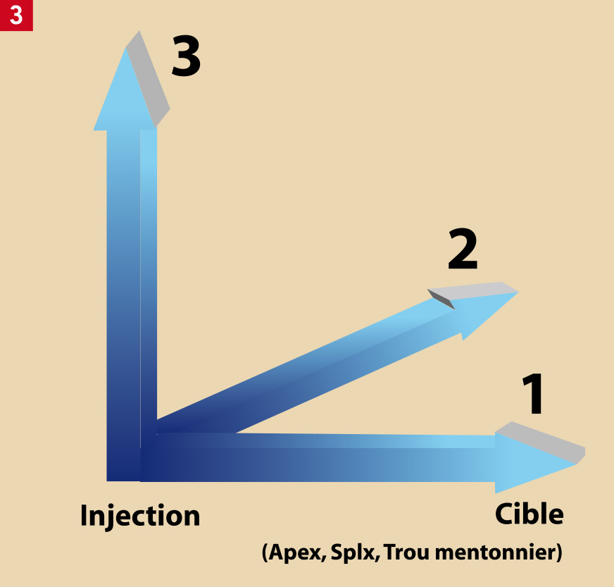 le vasoconstricteur contenu dans le produit