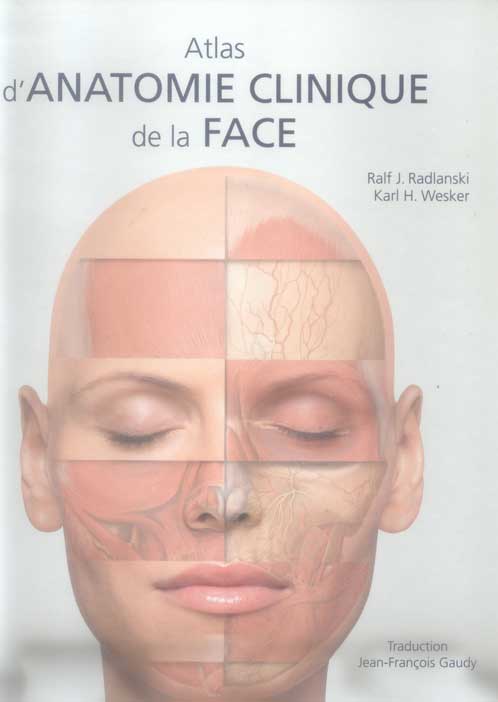 Anatomie-Clinique-de-la-Face