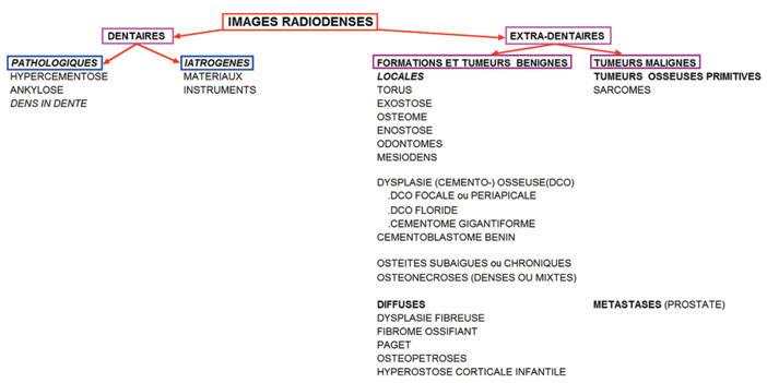 Arbre-diagnostique