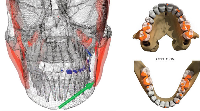 Calcul-des-occlusions-sur-un-avatar-integrant