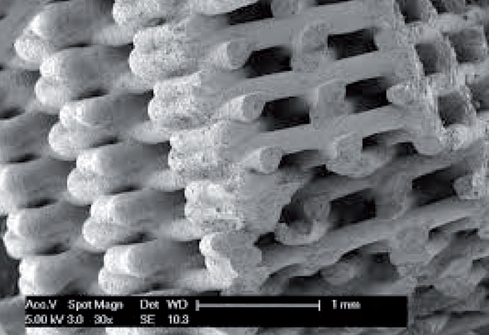 Structure-en-hydroxyapatite-realisee-en-fabrication-additive