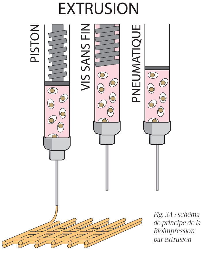 schema-de-principe-de-la-bioimpression-par-extrusion