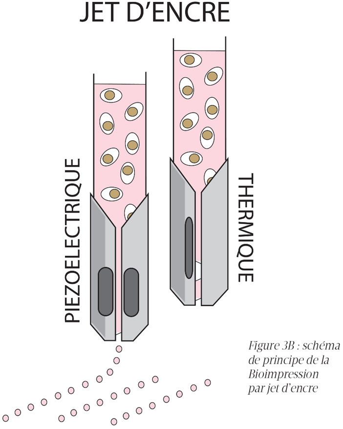 schema-de-principe-de-la-bioimpression-par-jet-d-encre