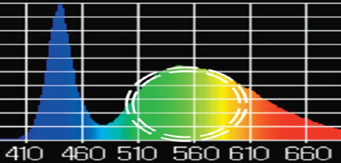 LED conventionnelle 6500K