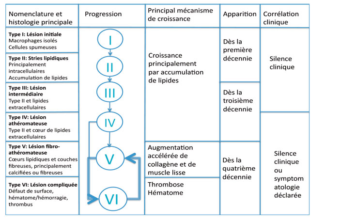 classification-evolutive-des-lesions