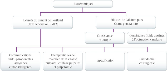 indications-therapeutiques