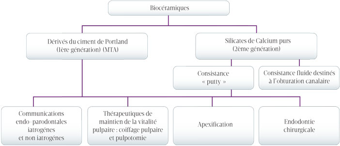indications-therapeutiques