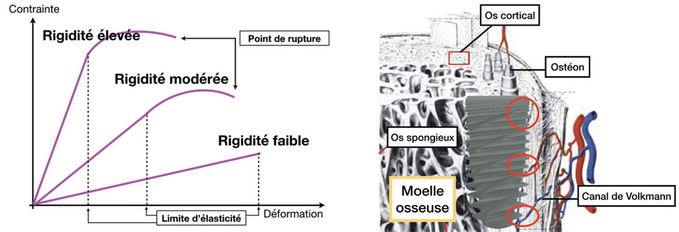 propriete-d-un-materiau-soumis-a-deformation