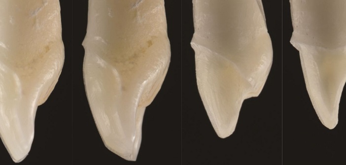 Concept-de-preparations-et-usures